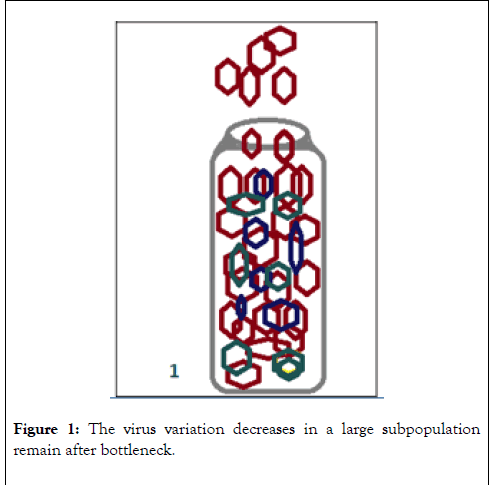 virology-mycology-variation