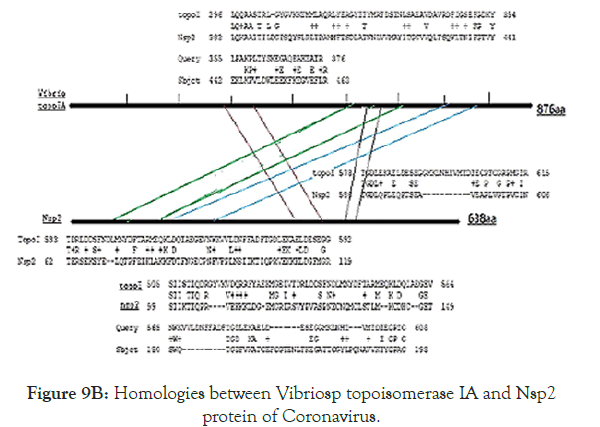 virology-mycology-vibriosp