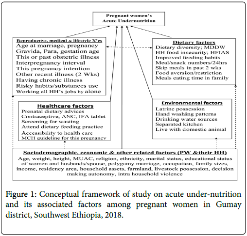 womens-health-care-Conceptual-framework