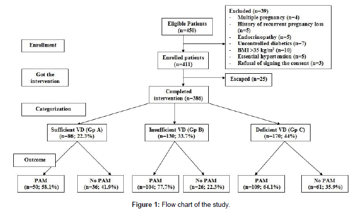 womens-health-care-Flow-chart