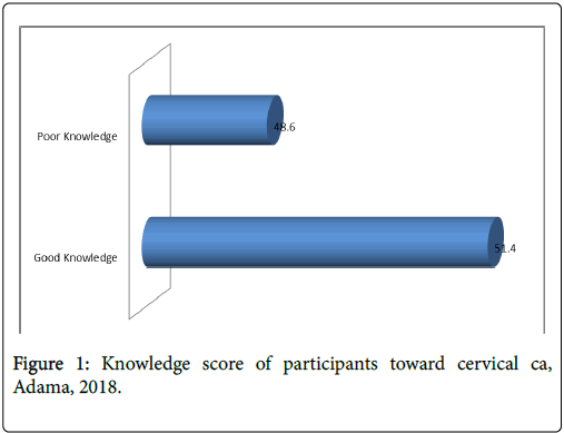 womens-health-care-Knowledge-score