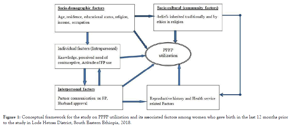 womens-health-care-conceptual-framework