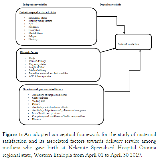 womens-health-care-conceptual-framework