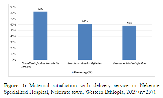 womens-health-care-maternal-satisfaction