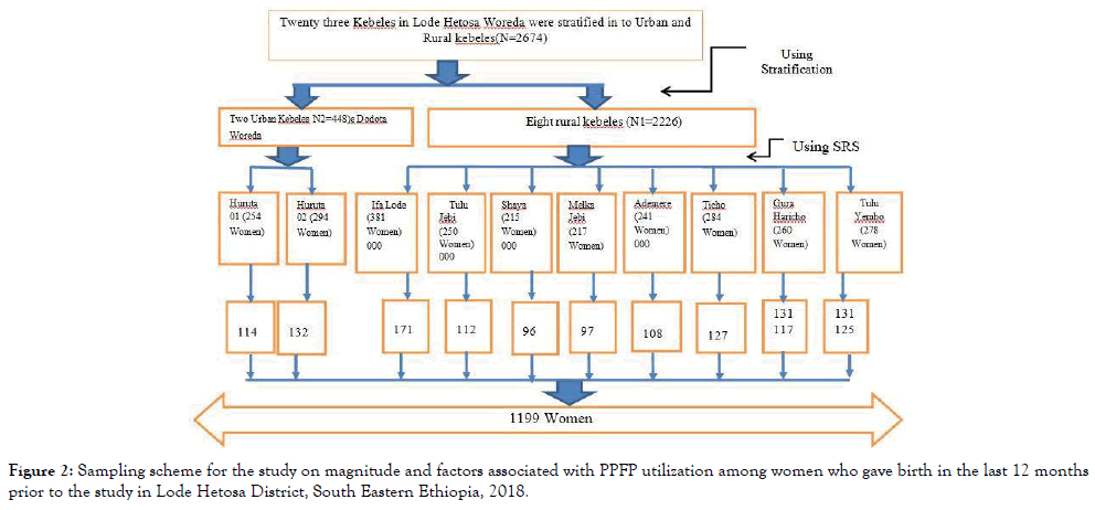 womens-health-care-sampling-scheme