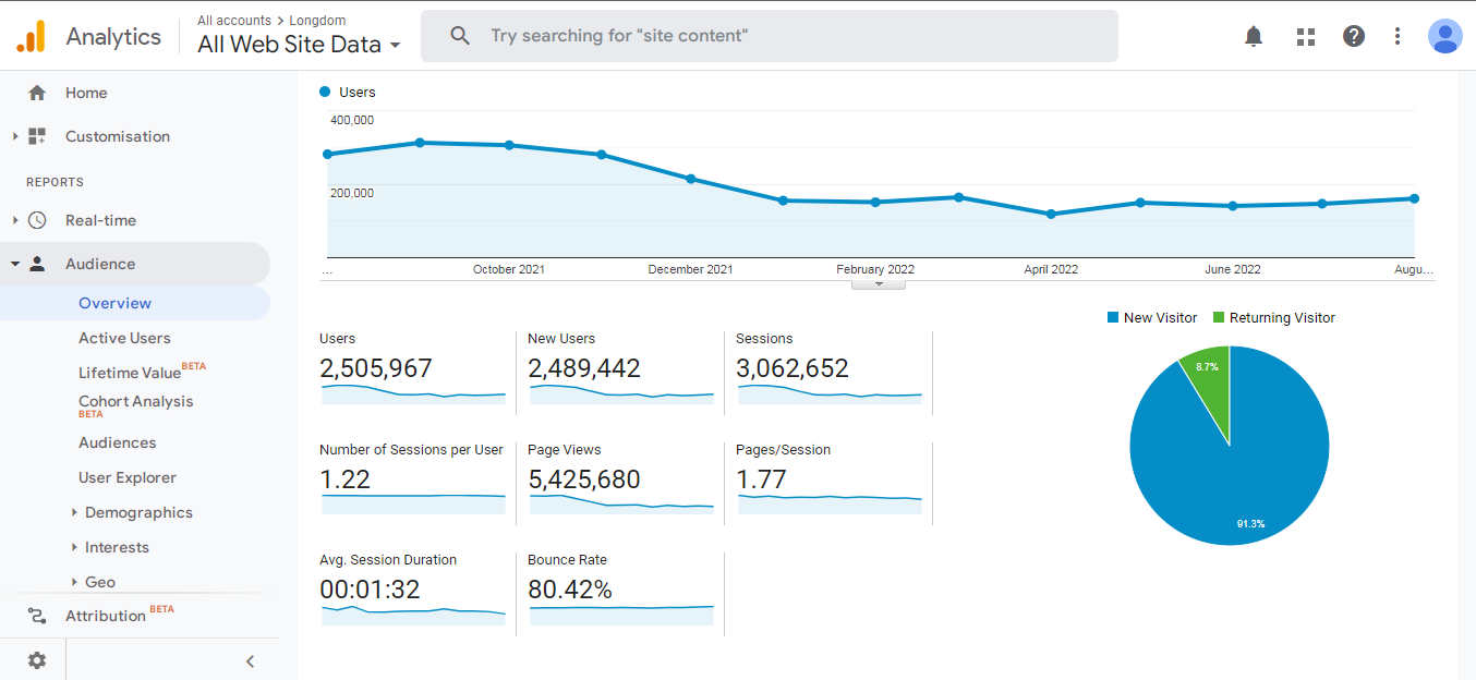 Visitor Analysis Report