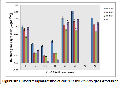 Transcriptomic-Open-Access-Histogram-representation-cmiCHS-cmiANS