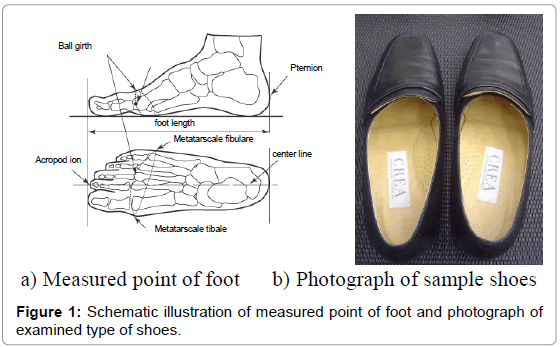 Ergonomics-measured-point-foot
