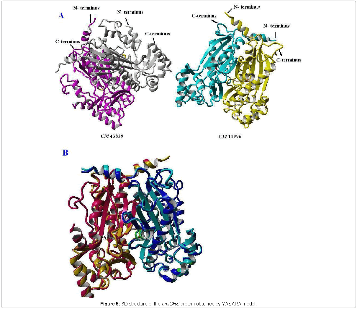 Transcriptomic-Open-Access-3D-structure-cmiCHS-protein