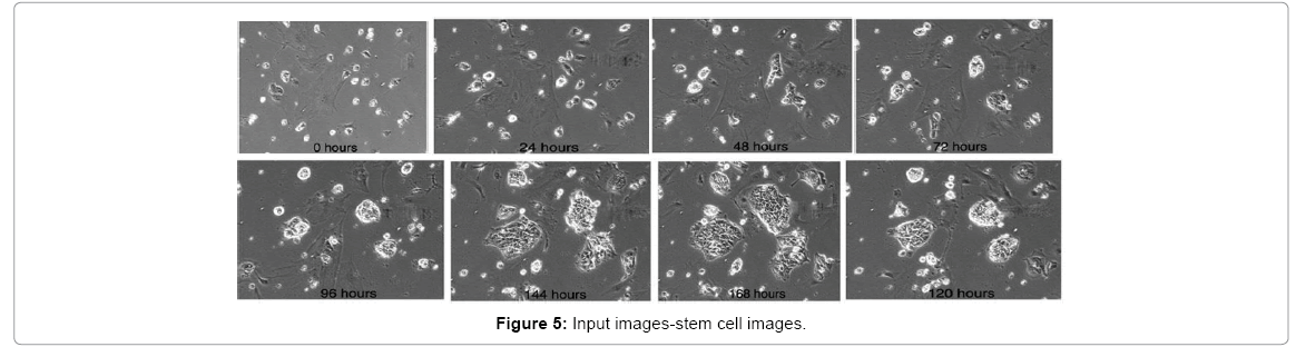 advanced-techniqe-images-stem-cell