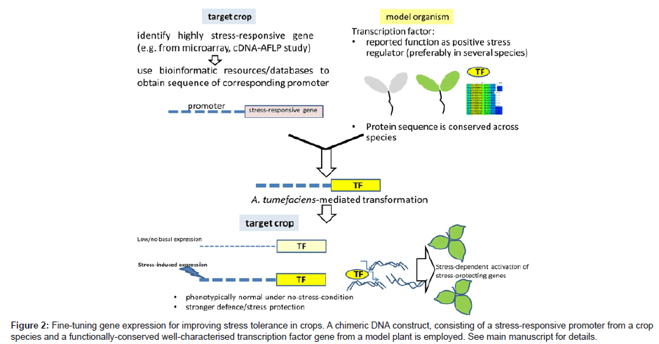 advancements-genetic-engineering-Fine-tuning-gene