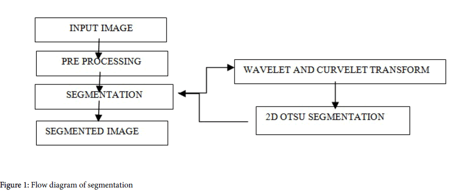 advancements-genetic-engineering-Flow-diagram