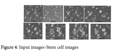 advancements-genetic-engineering-Input-images-Stem