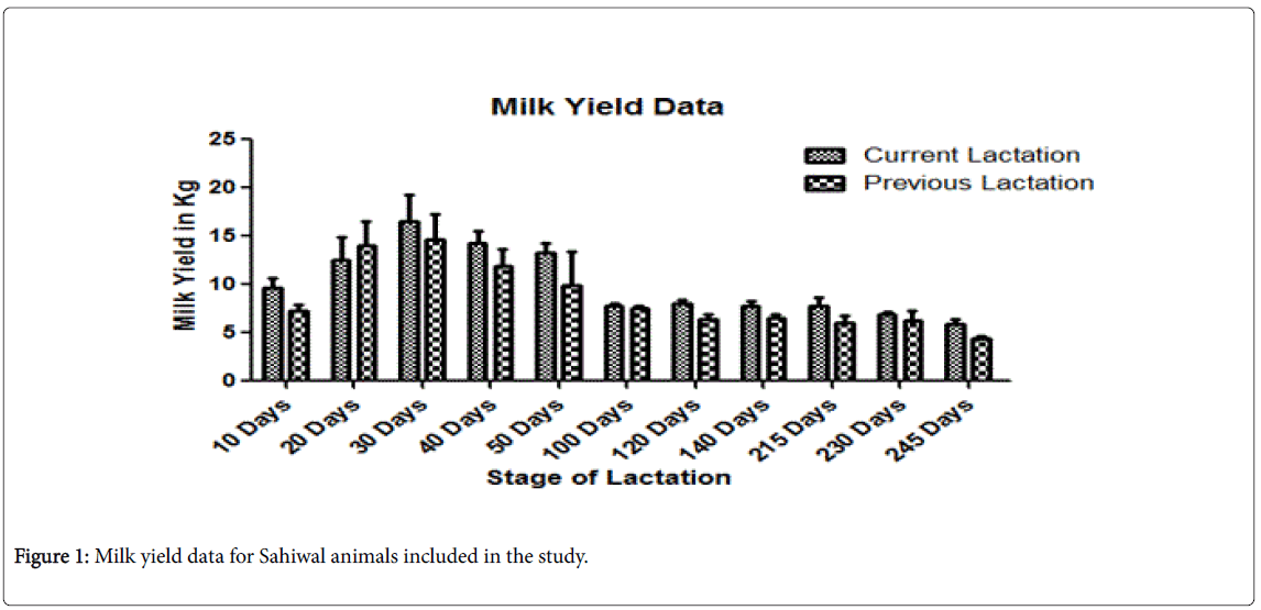 advances-dairy-research-Sahiwal-animals
