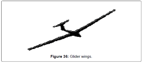 aeronautics-aerospace-engineering-Glider-wings