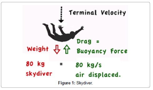 aeronautics-aerospace-engineering-Skydiver