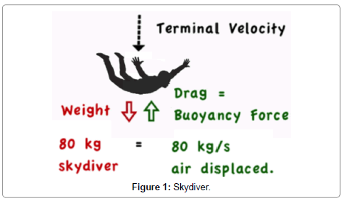 Terminal Velocity Of A Human