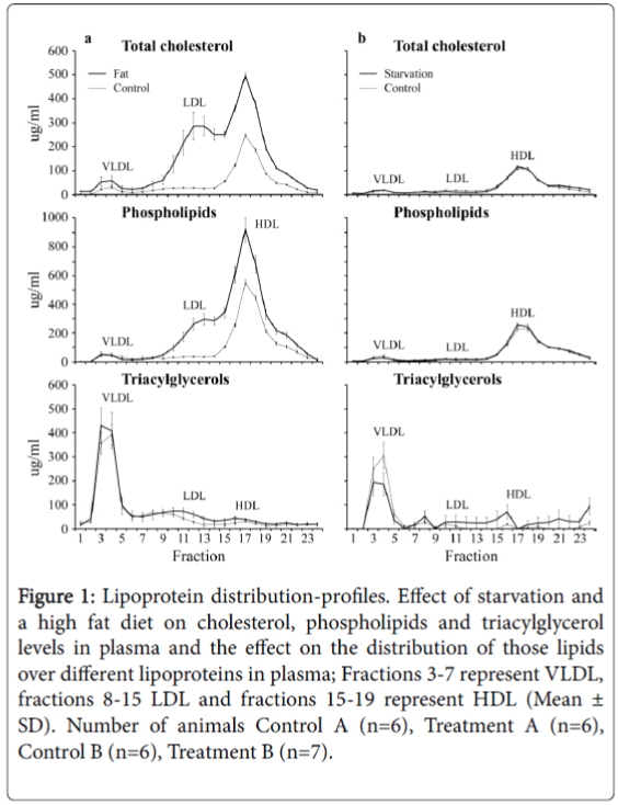 anatomy-physiology-Lipoprotein-distribution-profiles