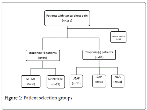 angiology-Patient-selection-groups