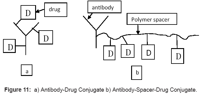 antivirals-antiretrovirals-conjugate