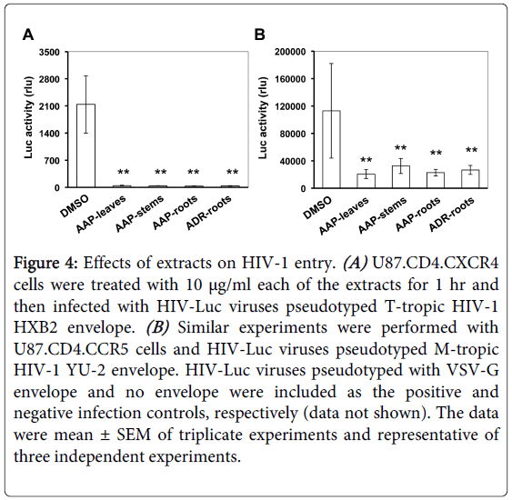 antivirals-antiretrovirals-extracts-viruses-pseudotyped