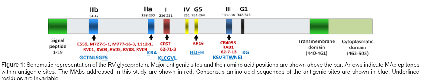 antivirals-antiretrovirals-representation