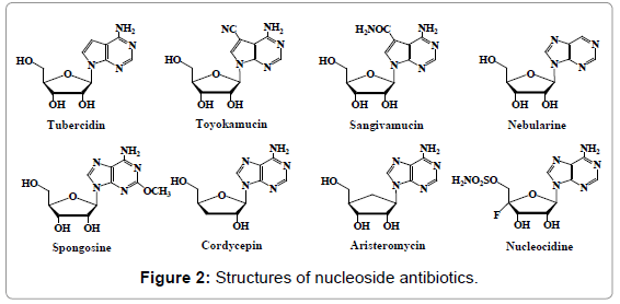 antivirals-antiretrovirals-structures-antibiotics