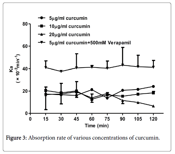 applied-pharmacy-concentrations-curcumin