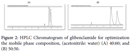 applied-pharmacy-glibenclamide-optimization