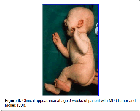 archive-anatomy-physiology-Clinical-appearance