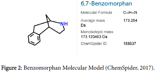 biochemistry-pharmacology-Benzomorphan-Molecular-Model