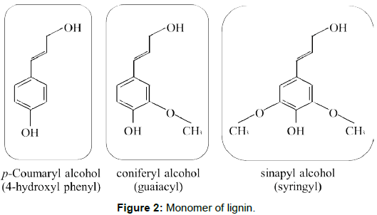 biochemistry-pharmacology-Monomer-lignin