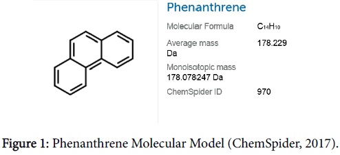 biochemistry-pharmacology-Phenanthrene-Molecular-Model