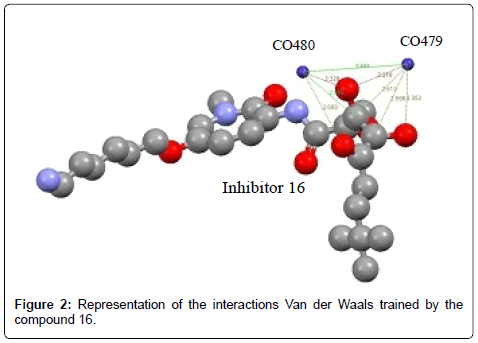 biochemistry-pharmacology-Van-der-Waals