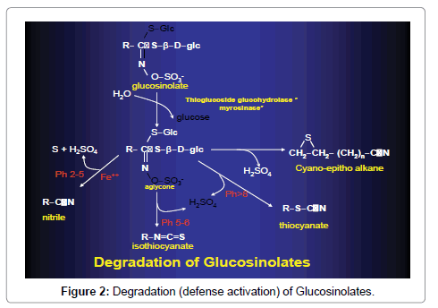 pharmacology-defense-activation