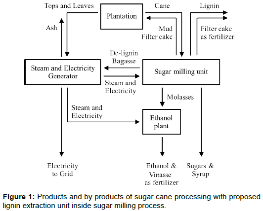 biochemistry-pharmacology-sugar-milling-process