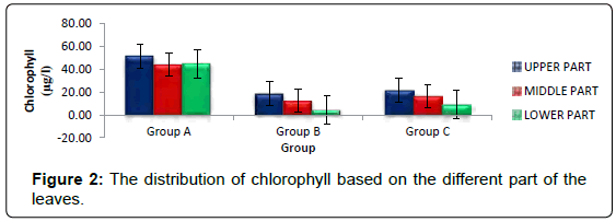 biofertilizers-biopesticides-distribution-chlorophyll-leaves
