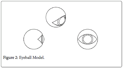 biomedical-engineering-medical-Eyeball-Model