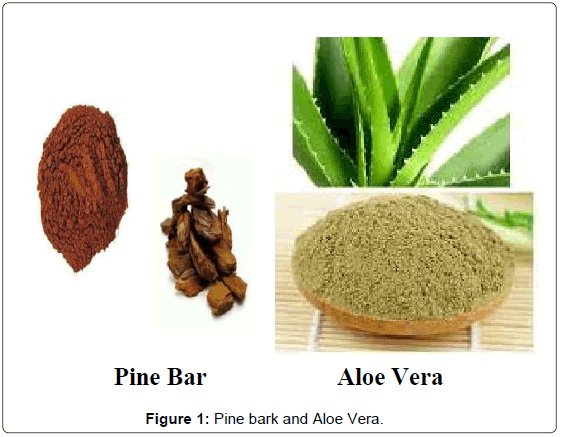 biomedical-engineering-medical-Pine-bark-Aloe