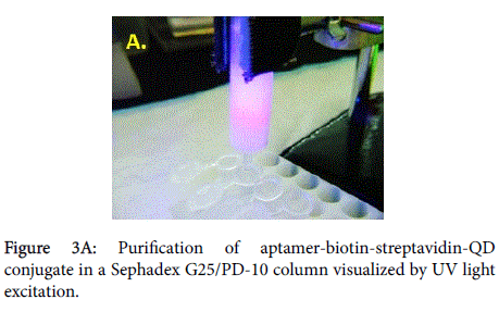 biomedical-engineering-medical-devices-aptamer-biotin