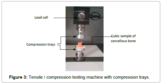 bone-marrow-research-compression-trays