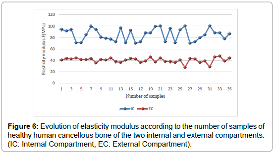 bone-marrow-research-elasticity-modulus