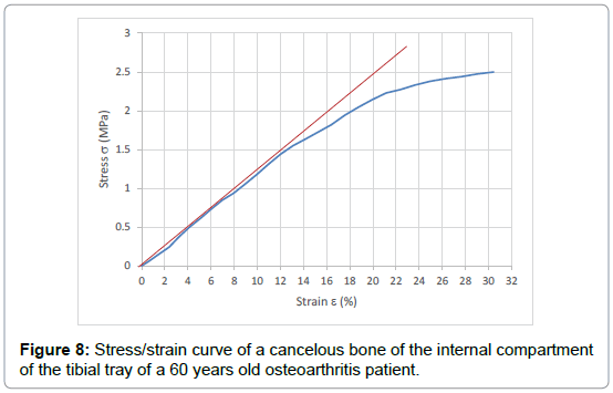 bone-marrow-research-strain-curve