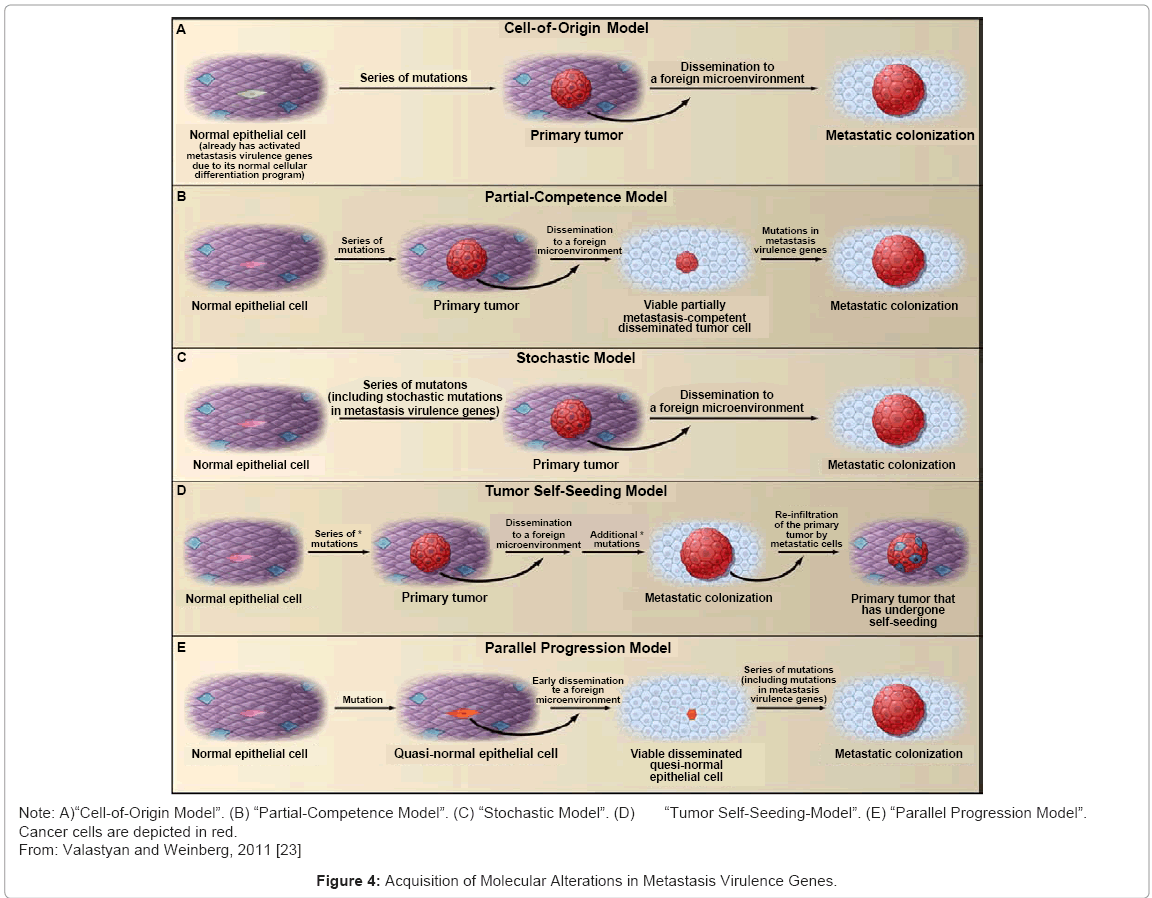 cell-developmental-Molecular-Alterations