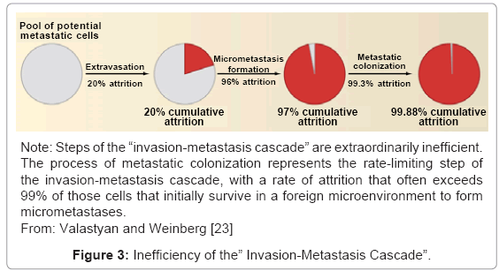 cell-developmental-metastatic-colonization