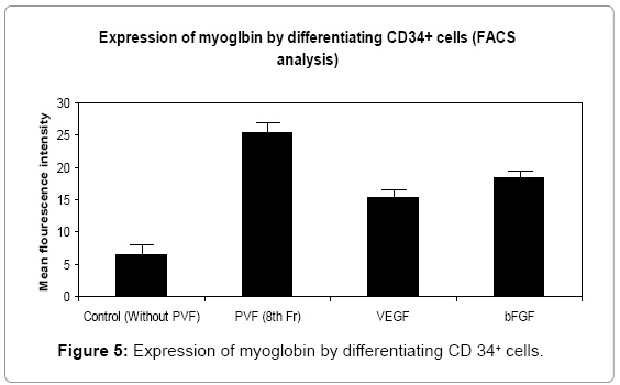 cell-developmental-myoglobin