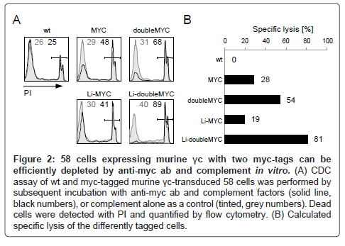 cell-science-therapy-expressing-murine