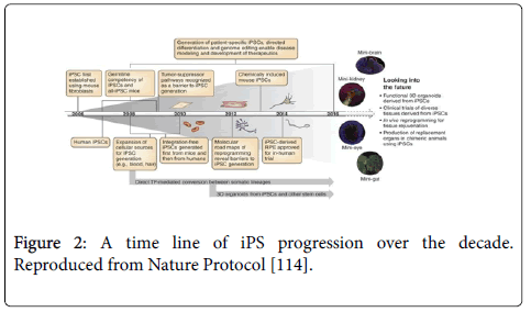 cell-science-therapy-iPS-progression