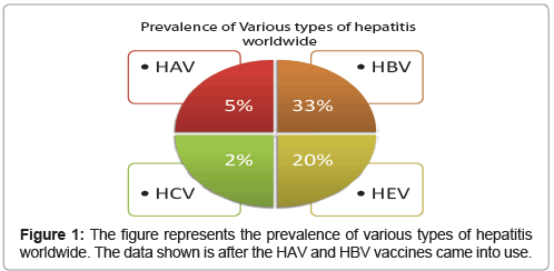 cellular-immunology-hepatitis-worldwide