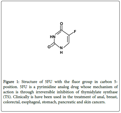 chemotherapy-pyrimidine-analog-drug